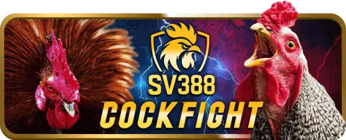 Bước 2: Nạp tiền vào tài khoản bi88 code